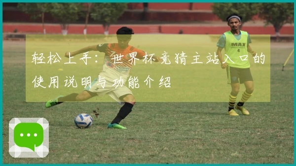 轻松上手：世界杯竞猜主站入口的使用说明与功能介绍