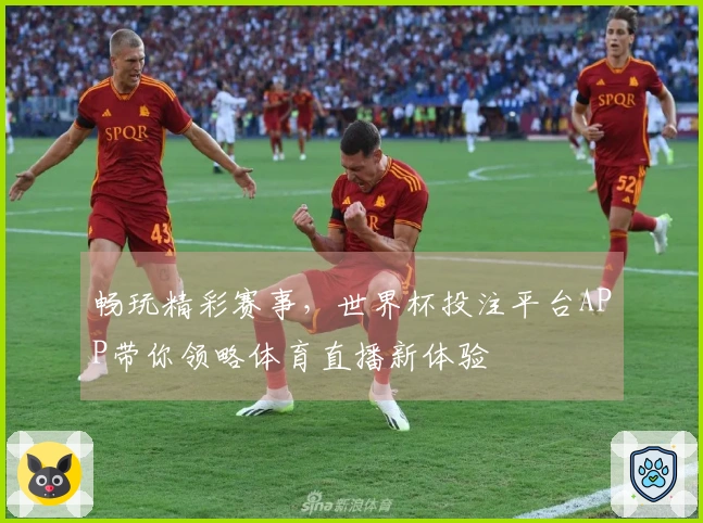 畅玩精彩赛事,世界杯投注平台APP带你领略体育直播新体验