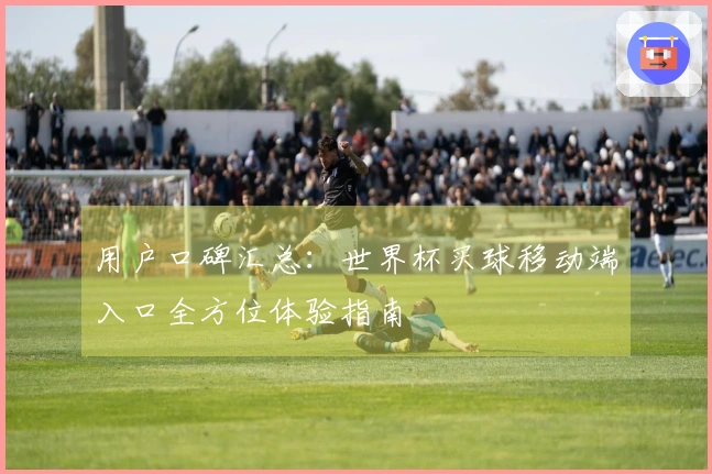 用户口碑汇总：世界杯买球移动端入口全方位体验指南