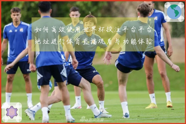 如何高效使用世界杯投注平台平台地址进行体育直播观看与功能体验指南