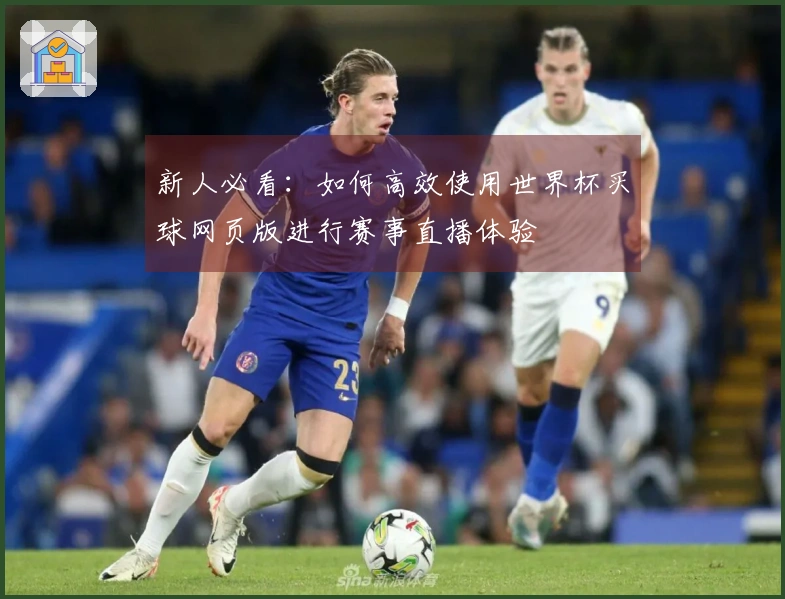 新人必看：如何高效使用世界杯买球网页版进行赛事直播体验