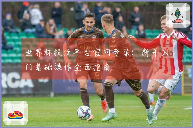 世界杯投注平台官网登录：新手入门基础操作全面指南