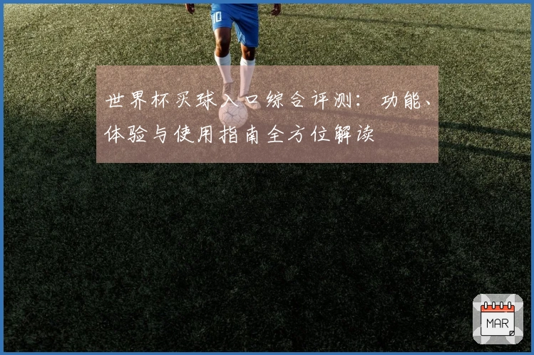世界杯买球入口综合评测：功能、体验与使用指南全方位解读