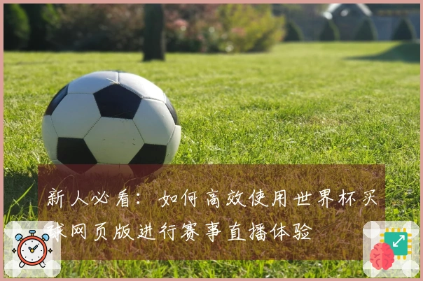 新人必看：如何高效使用世界杯买球网页版进行赛事直播体验
