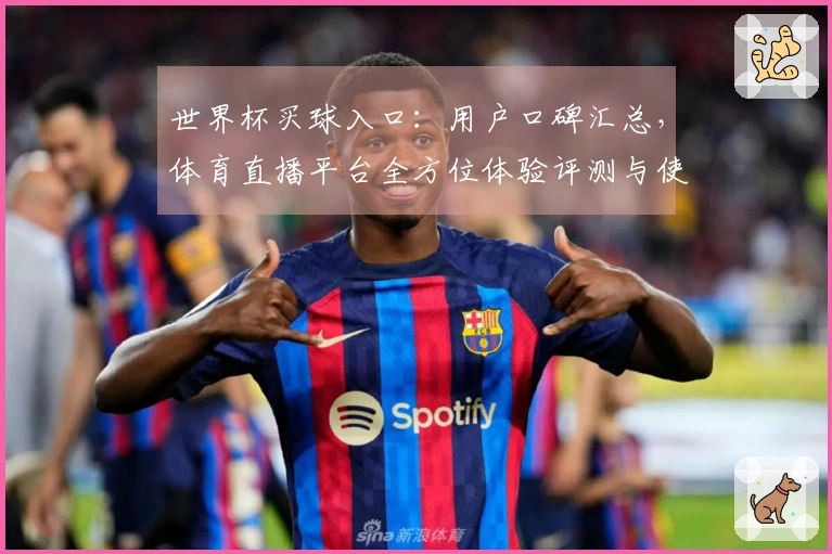 世界杯买球入口：用户口碑汇总，体育直播平台全方位体验评测与使用指南