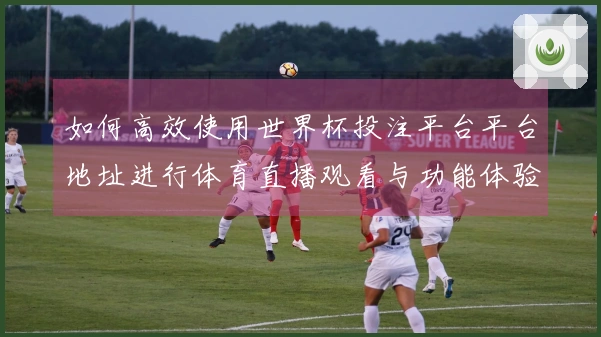 如何高效使用世界杯投注平台平台地址进行体育直播观看与功能体验指南